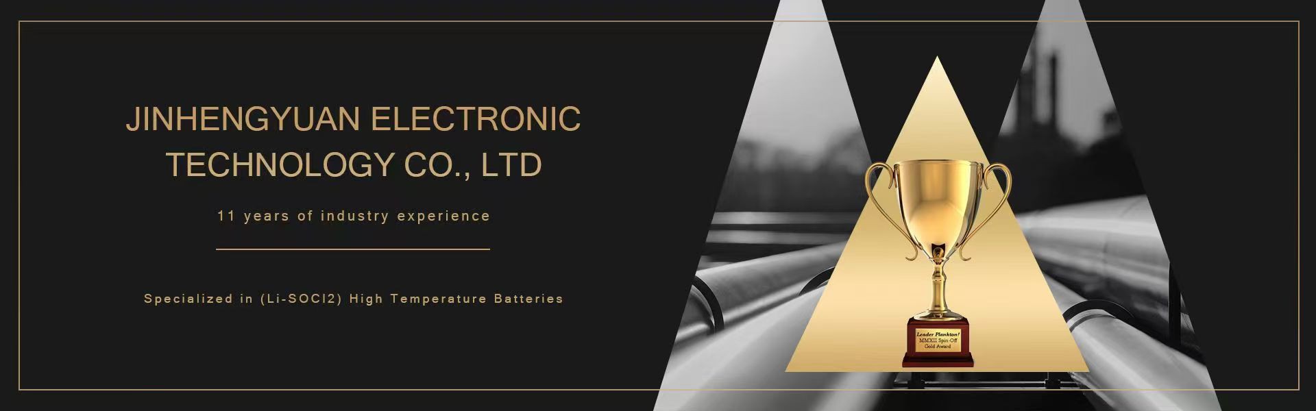 Lithium D-cell Batteries